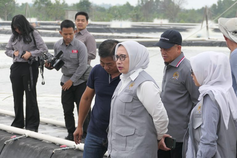 Kunjungan Kerja Komisi IX DPR RI Ke Tambak Udang Di Kawasan FTZ Dompak Dalam Rangka Peninjauan Penerapan K3 Di Tanjungpinang